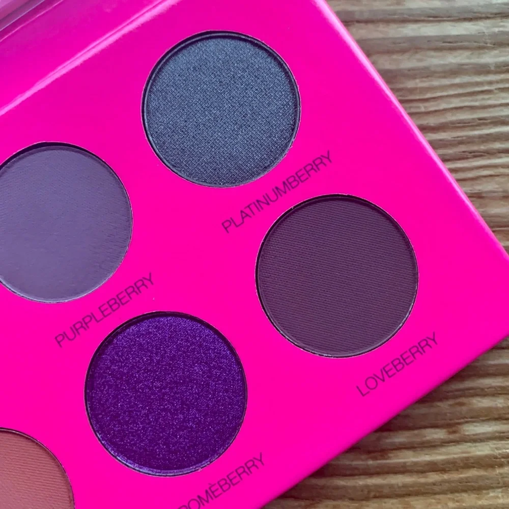 🎉HP🎉 New Berry Cute Coloured Raine Eyeshadow Palette